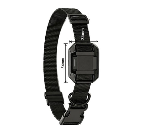 Pet Gps Collar Activity Monitor